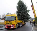 Mercedes Actros Schwerlasttransporter beim Verladen und Transport eines Weihnachtsbaumes von EU-Flamersheim nach Bad Godesberg am 24.11.2008.