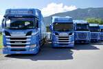 Zwei Scania und Mercedes von Brauch Transporte am 26.6.22 beim Trucker Festival in Interlaken.