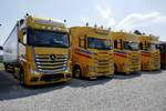 Ein MB Actros Sattelzug und drei Scanias von Wohlwend am 5.7.25 beim Truckfestival Zürich.