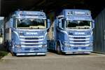 Zwei Scania Vieh-H�ngerz�ge von Br�hlmann am 1.6.26 in Malters.