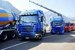 Zwei Scania Viehtransporter von Scheuner Viehhandel am 27.6.26 beim Trucker Festival Interlaken.