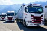 Mehrere Scania Viehtransporter von Anicom am 27.6.26 beim Trucker Festival Interlaken.