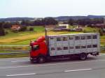 Ein Scania Viehtransporter