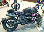 BMW R Nine T. Show Bike  Pink Boxer .  Foto: BMT (Berliner Motorrad Tage) Febr. 2020
