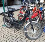 =Rizzato Califfone sucht einen neuen Besitzer bei der Technorama 2023 in Kassel