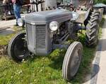 =Ferguson, gesehen bei der Oldtimerausstellung der Traktorfreunde Wiershausen am Klostergut Hilwartshausen, 05-2023