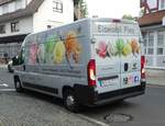 =Fiat Ducato von EISMOBIL PINO steht im Oktober 2020 in Melsungen