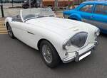 Austin Healey 100/4 BN 1 im Farbton ivory.