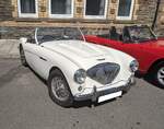 Austin Healey 100/4 BN 1 im Farbton ivory.