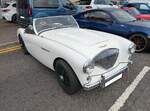 Austin Healey 100/4 BN 1 im Farbton ivory. Im Oktober 1952 stellte Donald Healey auf der Earls Court Motorshow in London sein neues Modell Healey 100 vor. Der Chef der BMC ( B ritish M otor C orporation), Sir Leonard Lord war von dem Sportwagen derar ...