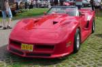 Von vorne sieht diese Corvette ja fast noch normal aus.