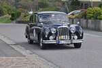 Jaguar Mark IX, BJ 1959, machte bei der Luxemburg Classic Rallye mit.