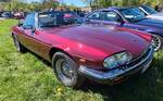 =Jaguar XJS ausgestellt bei der Oldtimerveranstaltung in Frankenberg/Eder im Mai 2026