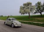 VW-Käfer, ist auch im Frühjahr bei saftig grünen Wiesen noch mit Skiern unterwegs; 130501