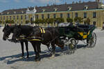 Mit diesem Pferdegespann kann man im Park vom Schloss Schönbrunn in Wien die schöne Anlage genießen. 06.2023