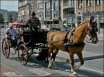In Oostende werden Stadtrundfahrten mit der Pferdekutsche angeboten und diese finden regen Anklang.