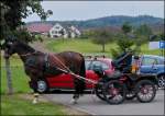 Geduldig wartet das Pferd mit der Kutsche darauf das der Kutscher auf der Kutsche Platz nimmt und die Fahrt fortgesetzt werden kann.
