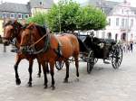 Ungeduldig warten die beiden Pferde mit ihrer Hochzeitskutsche am Domplatz in Trier; 120824