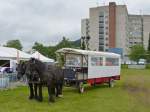 Dieses Pferdegespann stand am 05.07.2013 bereit um eine Runde mit den Besuchern der Landwirschaftsaustellung in Ettelbrck zu drehen.