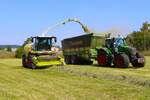 LU Schmidt Ronneburg Claas Jaguar 950 (nagelneu) mit Fendt Abfahrern beim Gras Häckseln am 10.08.25 rund um Ronneburg 