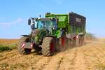 LU Schmidt Ronneburg Fendt 726 mit Fendt Tigo am 23.08.23 bei der Maisernte 2026 zwischen Langenselbold und Ronneburg 