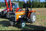 Traktorentreff Diessbach - Ein Kleintraktor TAFE 240 S als Gast am Treff am 23.08.2026