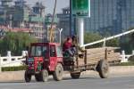Kleiner Luzhong-240 Traktor unterwegs mit Gerüst-Stangen in Shouguang, 20.11.10