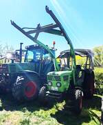 =Deutz D 4006, gesehen bei der Oldtimerschau in Wasenberg, 05-2025