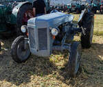 =Ferguson, gesehen bei der Oldtimerausstellung der OLDTIMERFREUNDE OHMTAL in Dannenrod, 09-2025