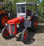 Ferguson TEF 20, BJ 1955, 27 PS, 4 Zyl, beim Oldtimertreffen in Nocher im Bild festgehalten. 23.08.2026