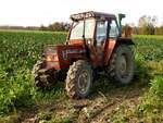 FIATAGRI 60-88DT,ist in grüner Botanik abgestellt; 221023
