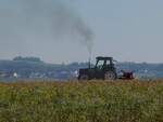 FIATAGRI 82-94; Leistung:80PS; Hubraum:3908ccm; Bj.1993-96 bei der Feldarbeit;  261019