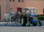 Ford Traktor fuhr mit mässiger Geschwindigkeit, um die Pferde in Bewegung zu halten. 04.09.2010. (Nicht zur Nachahmung empfohlen).