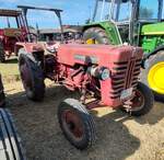 =IHC Farmall D 32, ausgestellt bei der Oldtimerausstellung der OLDTIMERFREUNDE OHMTAL in Dannenrod, 09-2025