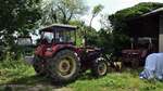 International Traktor, gesehen auf einem alten Bauernhof auf dem Traktoren gesammelt und repariert werden. Aufnahme vom 23.08.2022