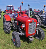 Massey Ferguson MF 35 X, BJ 1962, gesehen beim Gromperefest in Binsfeld.