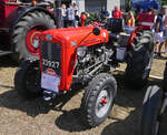 Massey Ferguson 35, BJ 1960, 35 PS, 4 Zyl, war beim Oldtimertreffen in Nocher zu sehen.