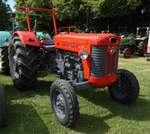 =MF 65, ausgestellt in Gudensberg im Juni 2019