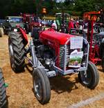 Massey Ferguson 65, BJ 1963, 3346 ccm, 58 PS, mach beim Oldtimertreffen in Warken Werbung f�r die n�chste Veranstaltung.