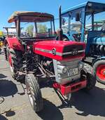=MF 135, gesehen bei der Oldtimerschau in Wasenberg, 05-2025