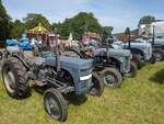 Eine ganze Reihe des britischen  Volkstraktors  Massey Ferguson TE20.