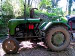 STEYR80 (15er) ist an diesem Standplatz Dank der gr�nen Farbe gut  getarnt ; 080504