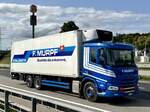 Ein DAF Kühllaster von Murpf am 12.9.25 beim Grauholz.
