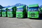 Mehrere Volvos von Traveco am 27.6.26 beim Trucker Festival Interlaken.