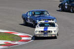 Ford Mustang Fastback, bei den GLP Track Masters am 13.6.2026,  eine sportliche Gleichm��igkeitspr�fung (GLP) f�r Oldtimer und Youngtimer  im Rahmen der N�rburgring Classic. Dabei geht es darum, eine 45-min�tige Fahrzeit mit m�glichst konstanten Run ...