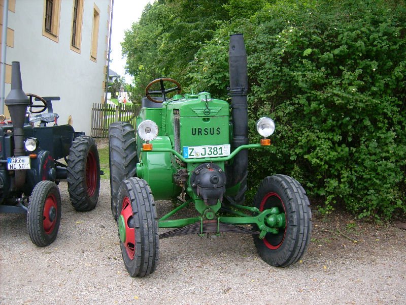 Ursus Glhkopf Bulldog im Innenhof des Landwirtschaftsmuseums Blankenhain 2008