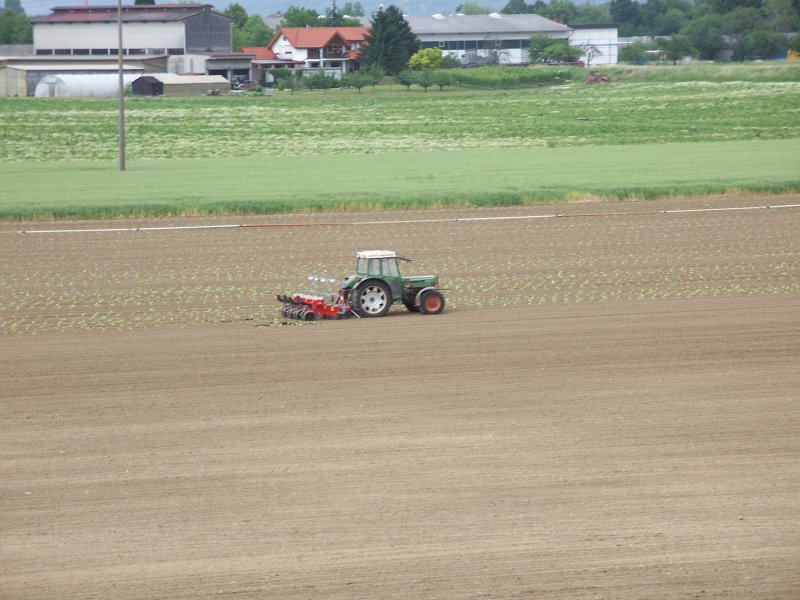 Von der Ferne betrachtet wirkt dieser Fendt Traktor auf dem groen Feld ganz klein und verloren. Aufnahmeort: Grosachsen - Heddesheim.