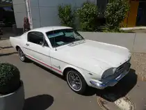Ford Mustang Baujahr 1965 beim Mustang-Treffen (50 Jahre Mustang) in Mondorf am 15.06.2014