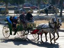 Marokko, Marrakesch, Pferdegespann zwischen dem Jaama el Fna Platz und der Koutoubia. 24.12.2014