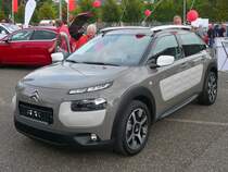 Auf diesem Bild ist ein Kaktus versteckt :-)

Automesse MG, 7.9.14